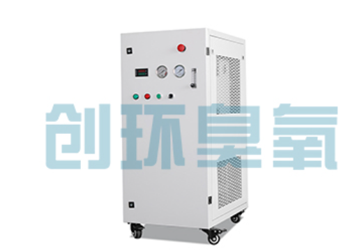 陇南石斑鱼养殖水质调控完整指南：臭氧发生器配置与操作步骤