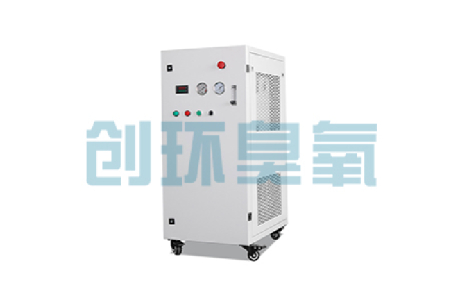 陇南比传统换水更高效？臭氧发生器在石斑鱼养殖中的水质净化原理解析